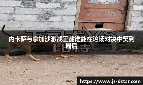 内卡萨与拿加沙激战正酣谁能在这场对决中笑到最后