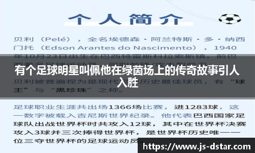 好博(中国)体育